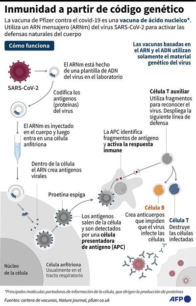 Un 70% de la humanidad debería vacunarse para acabar con pandemia - Mundo - ABC Color