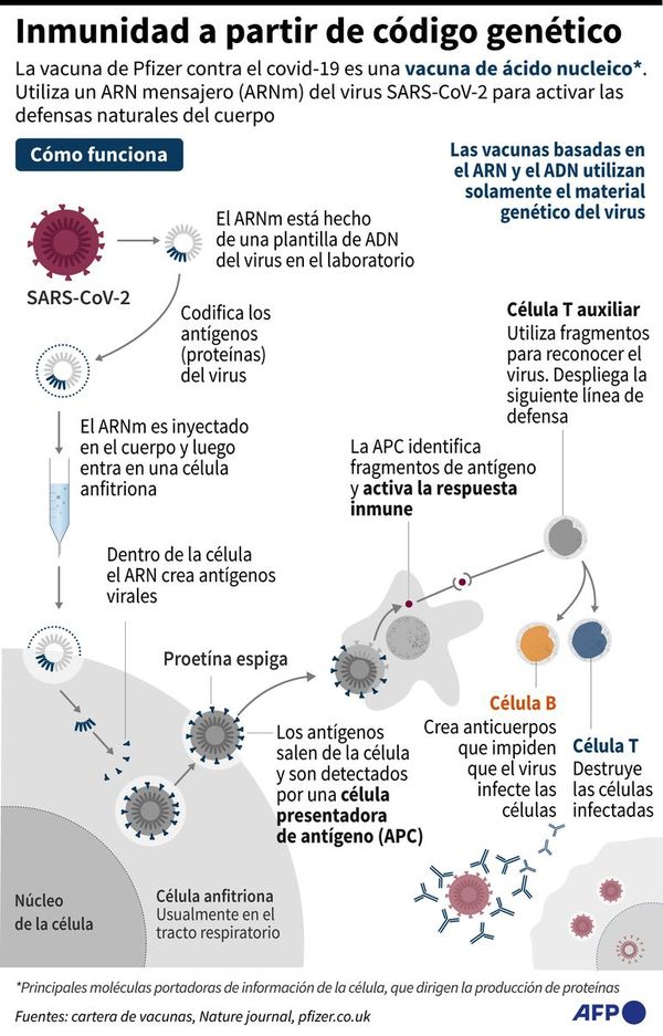 Un 70% de la humanidad debería vacunarse para acabar con pandemia - Mundo - ABC Color