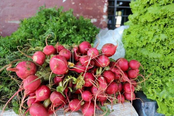 Jueves de feria agroecológica en San Lorenzo