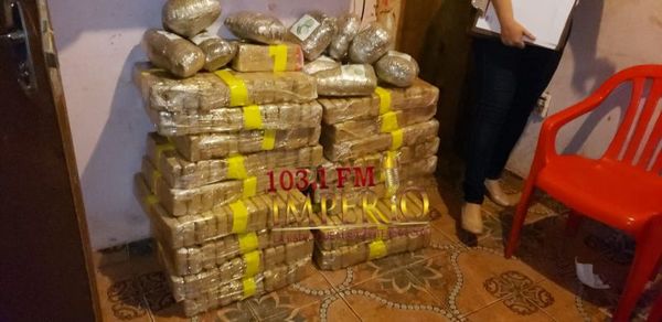 Departamento de Investigaciones incautó más de 410 kilogramos de Marihuana.