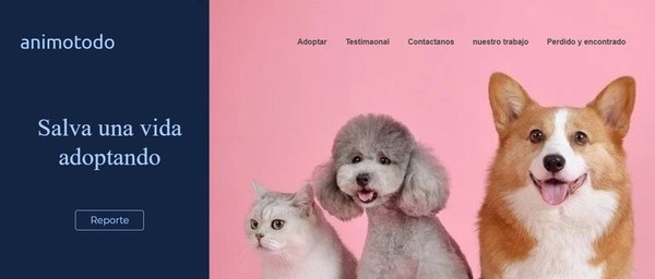 Desarrollan sitio web para fomentar adopción y hallazgo de mascotas - Mascotas - ABC Color