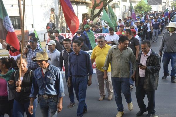 Campesinos anuncian medidas tras no llegar a un acuerdo con autoridades - Nacionales - ABC Color