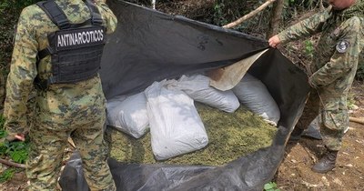 La Nación / Operativo en Azote’y encontró 7.300 kilos de marihuana