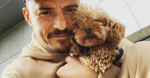 La decisión de Orlando Bloom para superar la desaparición de su perro Mighty - C9N