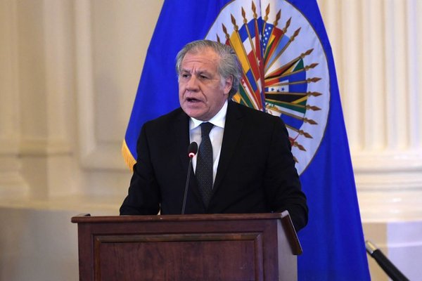 OEA pidió al Tribunal Constitucional de Perú que se garanticen las elecciones 2021