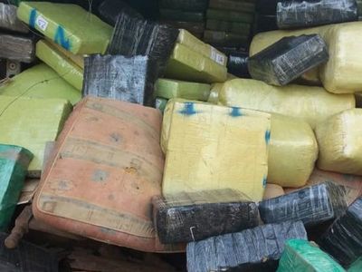 Incautan alrededor de 20.000 kilos de supuesta marihuana en San Pedro