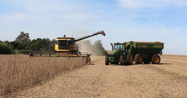 La Nación / Banco Mundial llama a “repensar” sector agropecuario de América Latina
