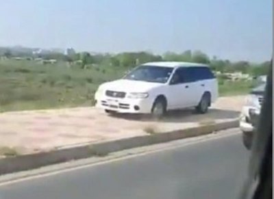 Crónica / Costanera: caminata con ¡Toreto incluido!