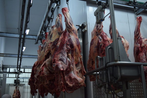 Foro Mercosur de la Carne aspira a acuerdos comerciales con el sudeste asiático