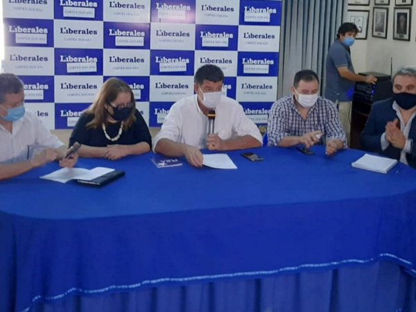 Punto para desdoblar internas no ingresa en convención liberal