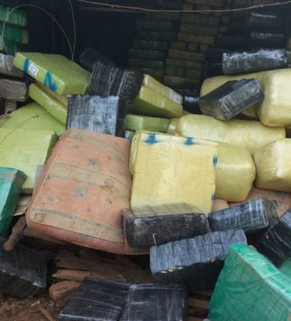 Incautan alrededor de 20.000 kilos de supuesta marihuana en San Pedro