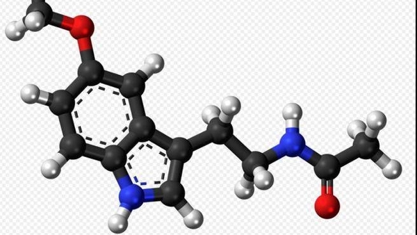 HOY / Investigan si la melatonina, hormona inductora del sueño, puede prevenir y combatir al COVID-19