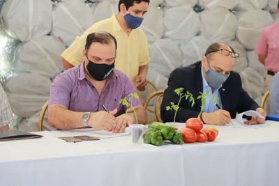Acuerdan construcción de Unidades de Salud Familiar en territorios sociales del MDS de Oviedo - Noticiero Paraguay
