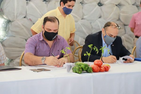 Acuerdan construcción de Unidades de Salud Familiar en territorios sociales del MDS de Oviedo - Noticiero Paraguay