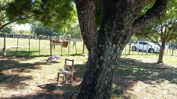 Asesinan a guardia de seguridad en una estancia de Mbuyapey - Nacionales - ABC Color