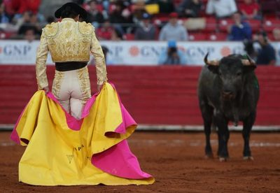 Sigue actividad taurina con corrida de la Prensa en Tlaxcala - MarketData