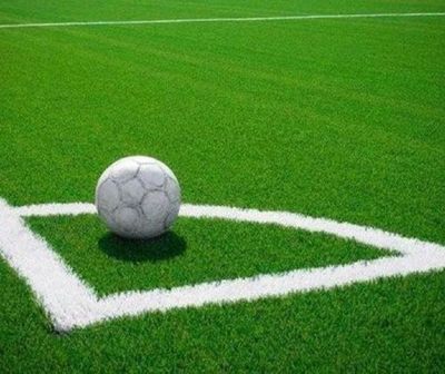 ¿Cuándo vuelven los partidos en canchas sintéticas?