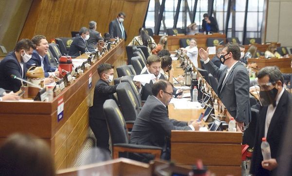 Diputados se excluyen del control sobre uso de combustibles - Nacionales - ABC Color