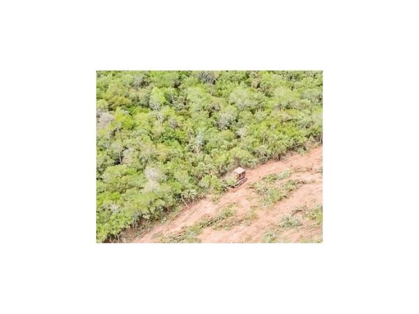 Caso omiso a denuncias sobre deforestación