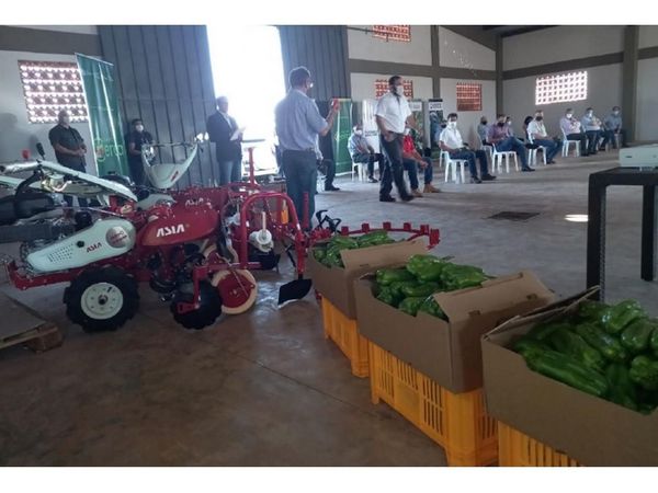 Avanza proyecto   para pequeños agricultores en Caaguazú