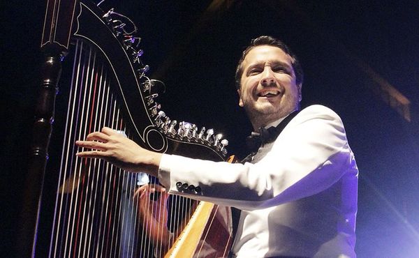 El arpa sigue sonando gracias a la virtualidad - Espectáculos - ABC Color