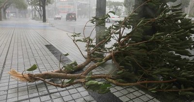La Nación / Miles de personas huyen en Vietnam al acercarse el tifón Vamco