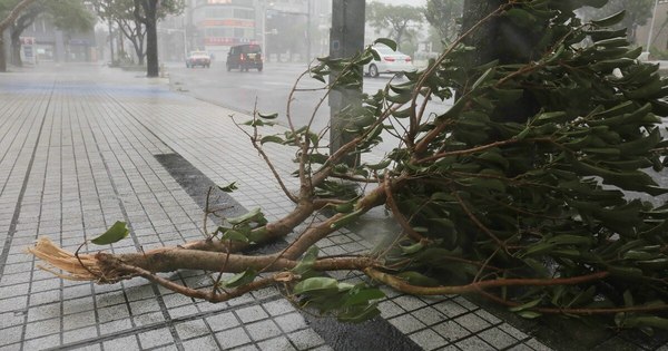 La Nación / Miles de personas huyen en Vietnam al acercarse el tifón Vamco