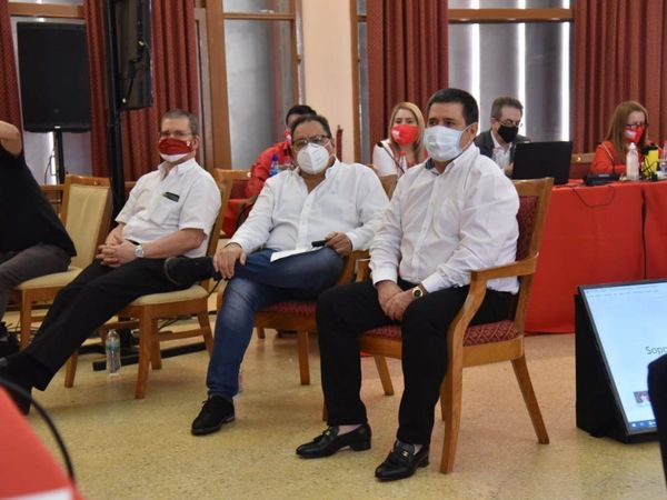 Convencionales aprueban modificación de artículos del estatuto de la ANR