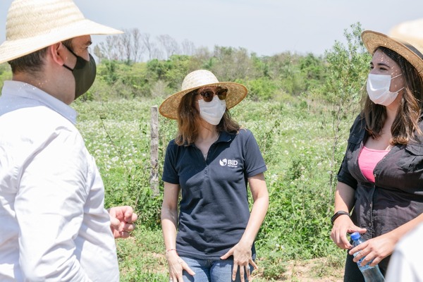 Visitan proyecto piloto de agricultura inteligente implementado en Villeta | .::Agencia IP::.
