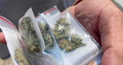 La Nación / Argentina legaliza autocultivo de cannabis para uso medicinal