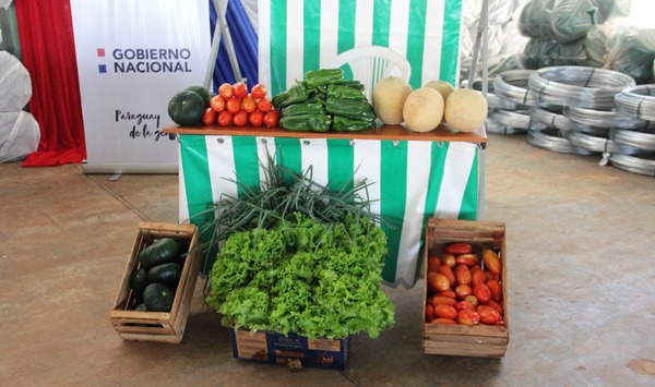 Programa “Mi Huerta” beneficia a 378 familias de Caaguazú - Noticde.com