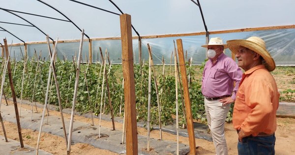 La Nación / MAG ayuda a familias rurales de Cordillera