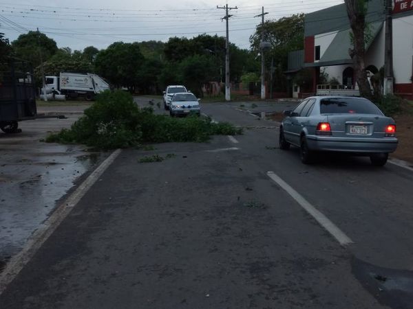 Emiten alerta por tormentas y temporal ya se registra en el sur - Nacionales - ABC Color