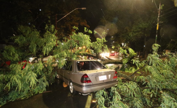 HOY / Fuerte temporal sacude al país con vientos de hasta 100 km/h