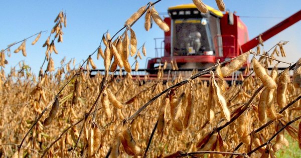 La Nación / La actividad económica se retrae por 2º mes consecutivo en el 2020