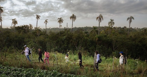 La Nación / Proyecto busca reducir el cambio climático y la pobreza campesina