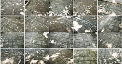 La Nación / Presunciones alrededor de la obra de Alejandra Mastro