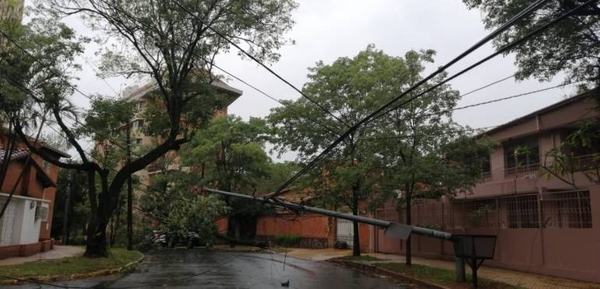 HOY / Asunción tras el temporal: árboles caídos, semáforos apagados y personas atrapadas