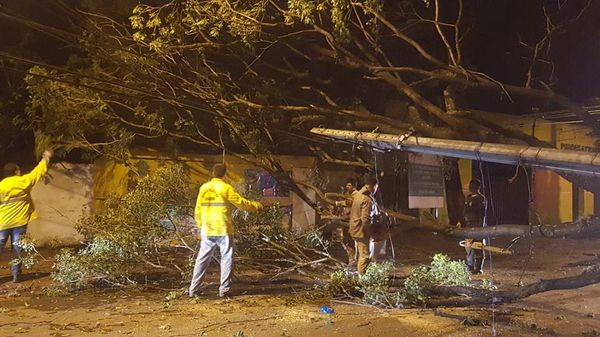 Restan reactivar 66 alimentadores de ANDE en Asunción y Central - Nacionales - ABC Color
