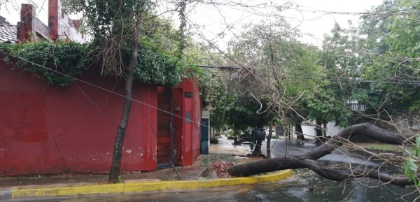 Asunción y Central son las principales zonas afectadas sin energía eléctrica | Noticias Paraguay