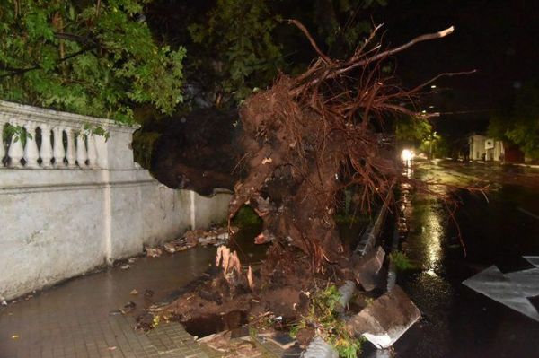 Temporal dejó varios destrozos en Asunción – Prensa 5