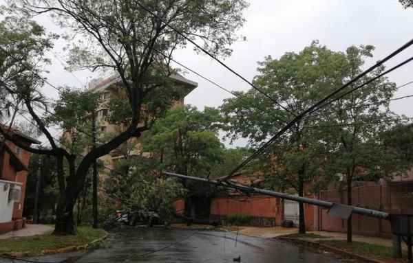 Asunción pasada por agua: Temporal arrasó con árboles y alimentadores de la ANDE