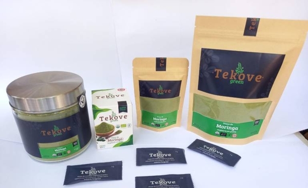 HOY / Tekove Green: convirtiendo la moringa en un producto versátil para posicionarse en el mercado local