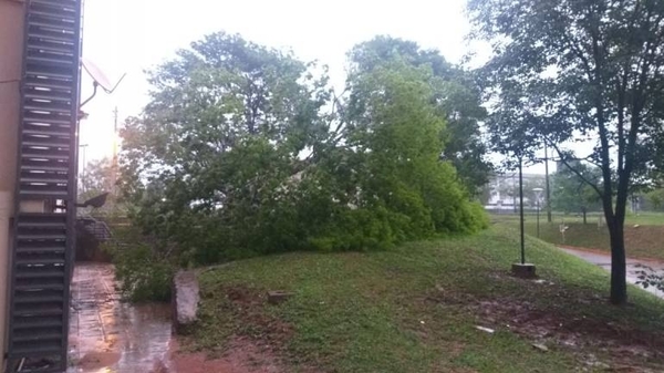 HOY / Intensidad de la tormenta también afecto al Hospital de Clínicas
