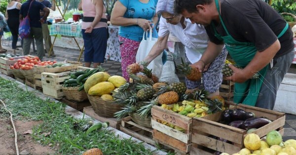 La Nación / Agricultores de cuatro departamentos se unen para realizar feria frutihortícola
