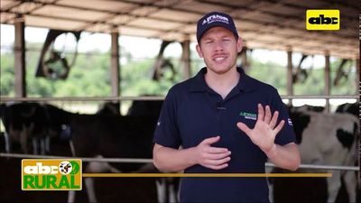 Abc Rural: Conocer la materia prima para ahorrar en producción de leche - ABC Rural - ABC Color