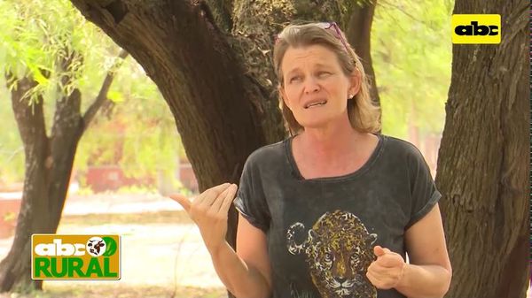 Abc Rural: Búsqueda de equilibrio entre producción y ecología en el Chaco - ABC Rural - ABC Color