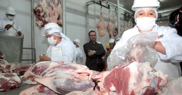 La Nación / Chile y Rusia absorben el 57% de exportaciones de la carne bovina