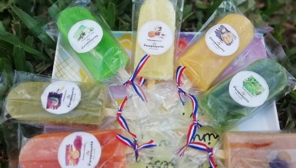 Helados Paraguayoite: un emprendimiento de helados artesanales que combina plantas medicinales, frutas y miel