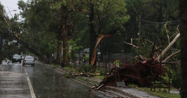 La Nación / Temporal causó destrozos en el Área Metropolitana y Asunción
